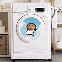 meme washer